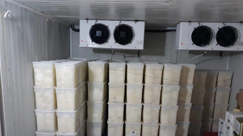 ضبط براد أجبان وألبان مهرّب في صيدا غير مطابق للمواصفات